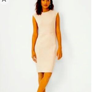 Ann Taylor Beige Faux Stretch Suede Cap Sleeve Sheath Dress